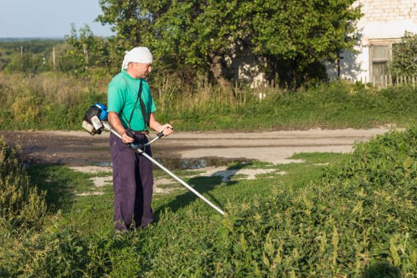 Grass Cutting